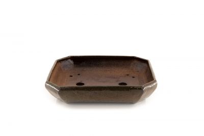 rectangular Zouki bonsaipot n°9