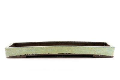 rectangular Yose-ue bonsai pot n°11
