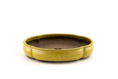 oval flower-shaped zouki bonsai pot n°1