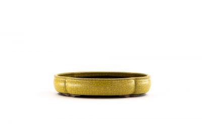 oval flower-shaped zouki bonsai pot n°1