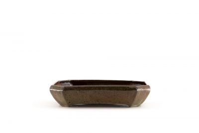 rectangular Zouki bonsaipot n°9